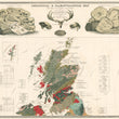 Load image into Gallery viewer, 1856 Geological and Paleontological Map of the British Isles