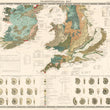 Load image into Gallery viewer, 1856 Geological and Paleontological Map of the British Isles