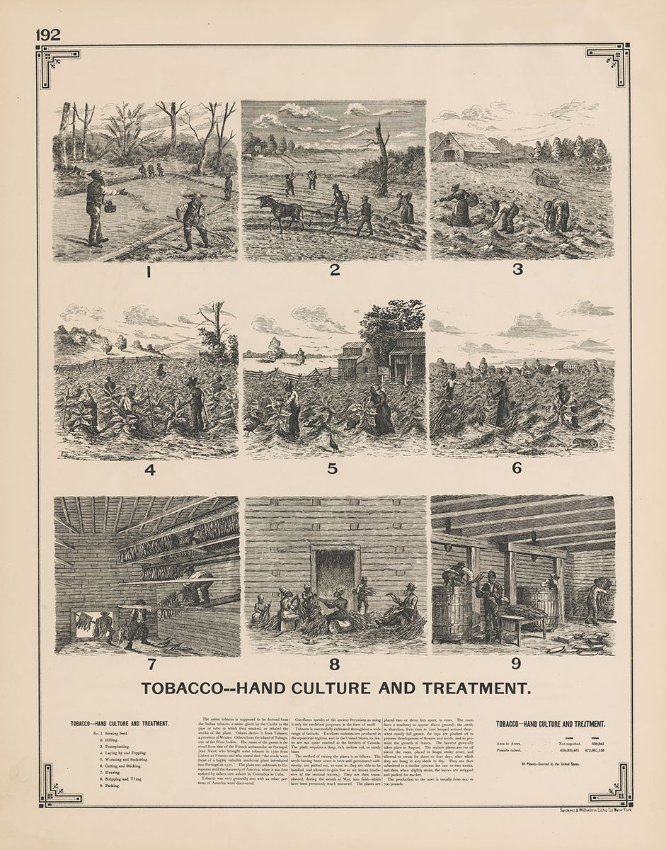 tobacco culture th breen 1892 Tobacco-Hand Culture and Treatment – the Vintage Map Shop