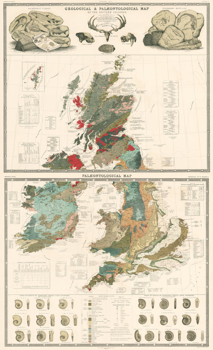 1856 Geological and Paleontological Map of the British Isles