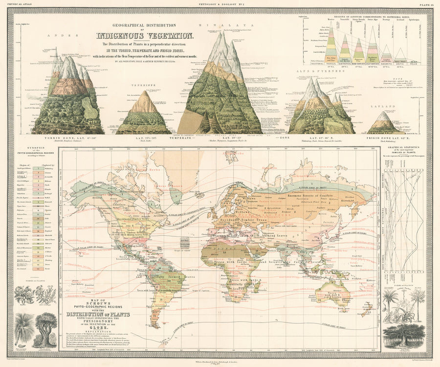 Vintage World Map: Geographical Distribution of Indigenous Vegetation by Alexander Johnston, 1856