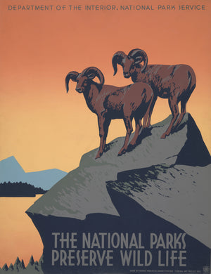 Vintage Poster: The National Parks Preserve Wildlife by J. Hirt, 1939