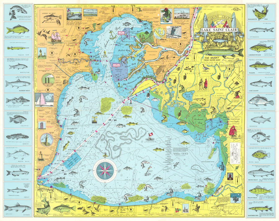 Fishing Chart of Lake Saint Clair By: A;vin Engler, 1955 – the Vintage Map  Shop, Inc.