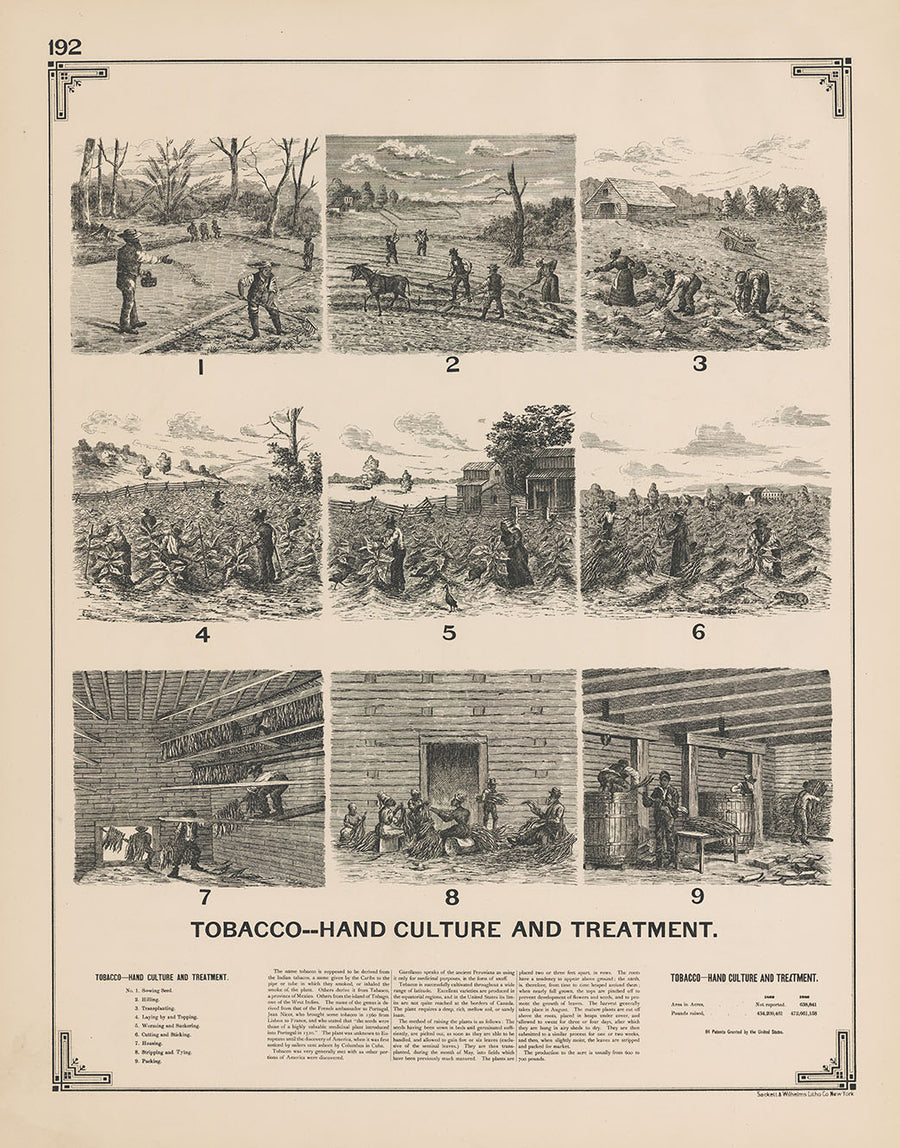 1892 Tobacco-Hand Culture and Treatment