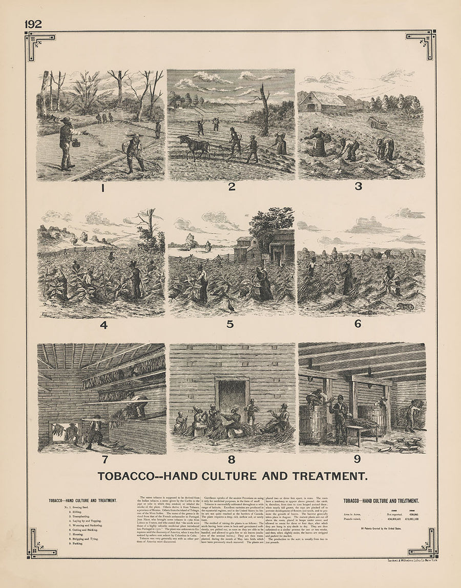 testosterone and tobacco Does Smoking Lower Testosterone Levels? testosterone and tobacco Does Smoking Lower Testosterone Levels?
