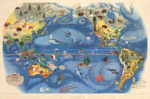 The Fauna and Flora of the Pacific by: Covarrubias 1940 