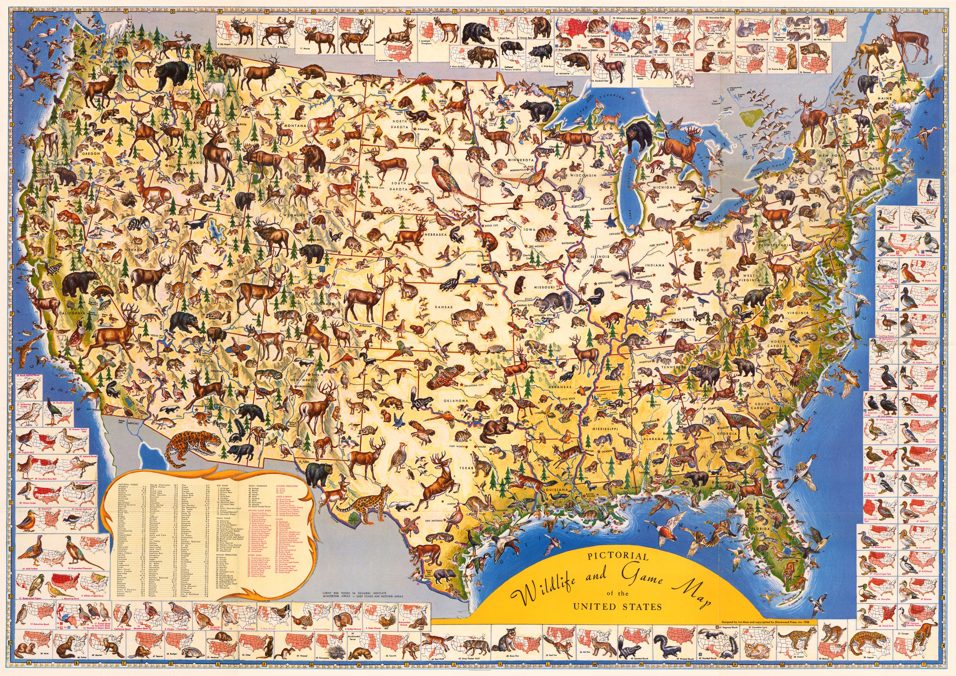 United States Map Name Game Karte Und Weltkarte. Anonym, Game Board