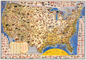 1956 Pictorial Wildlife and Game Map of the United States