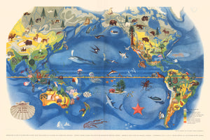 Pageant of the Pacific - PLATE II. Flora and Fauna of the Pacific by: Miguel Covarrubias, 1940 | FINE PRINT REPRODUCTION