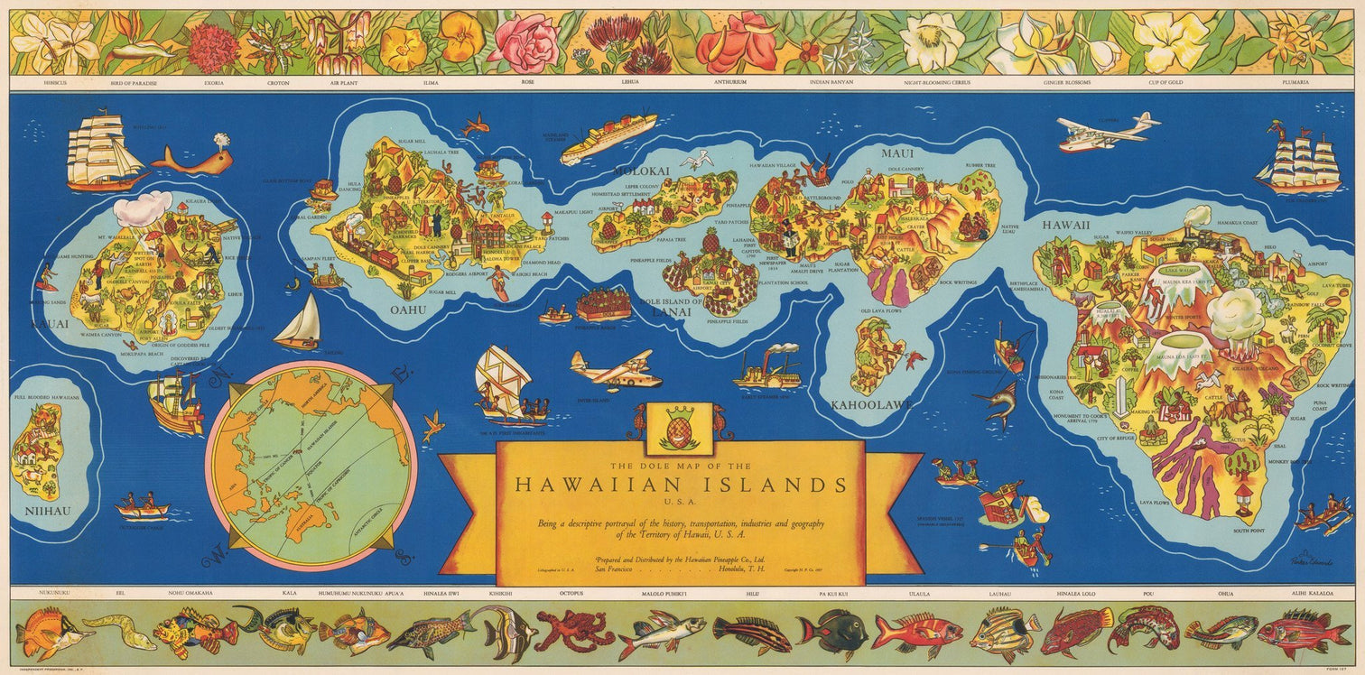 Vintage Maps of Alaska & Hawaii - The Vintage Map Shop – the